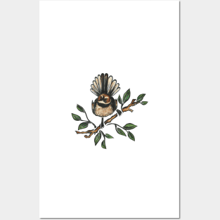 Fantail Bird Posters and Art